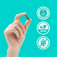 OdorOff™ – Freshness from within.