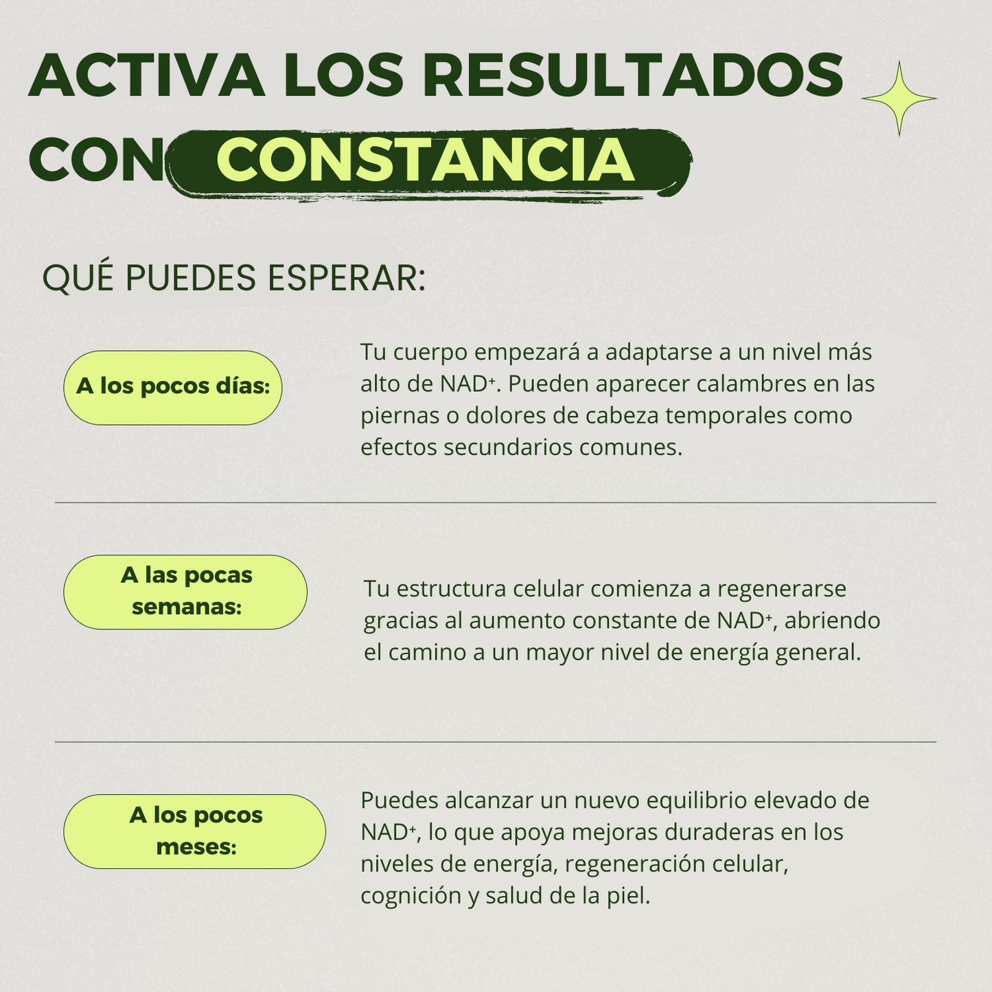 Cata-Kor™ - Liposomal NAD+ 250mg | Energía, Enfoque y Longevidad - 60 Cápsulas