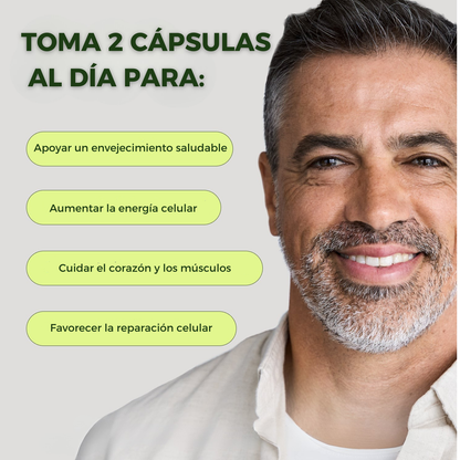 Cata-Kor™ - Liposomal NAD+ 250mg | Energía, Enfoque y Longevidad - 60 Cápsulas